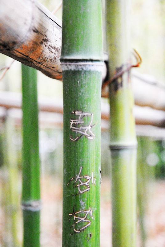 shanghai-bamboo-inscription