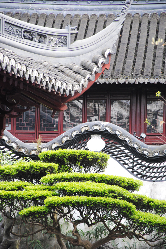 yu-garden-roof-wall-and-tree