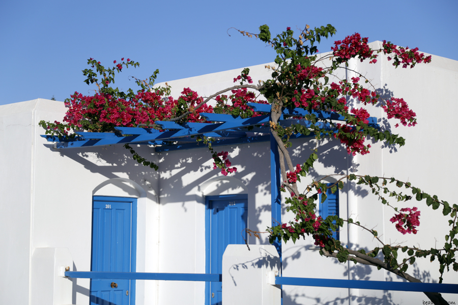 paros-home-with-flower