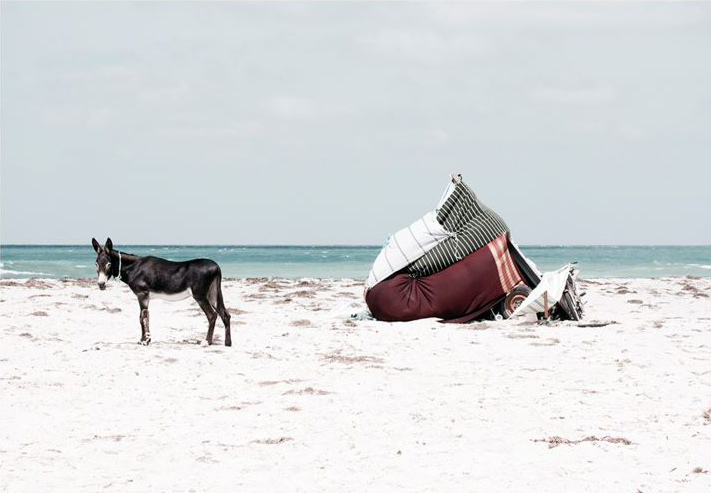 Festival de la Jeune Photographie Européenne Edition 2016