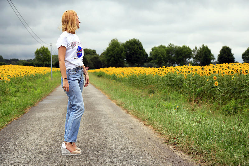 Champs de Tournesols