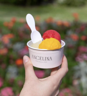 glaces Angelina Paris