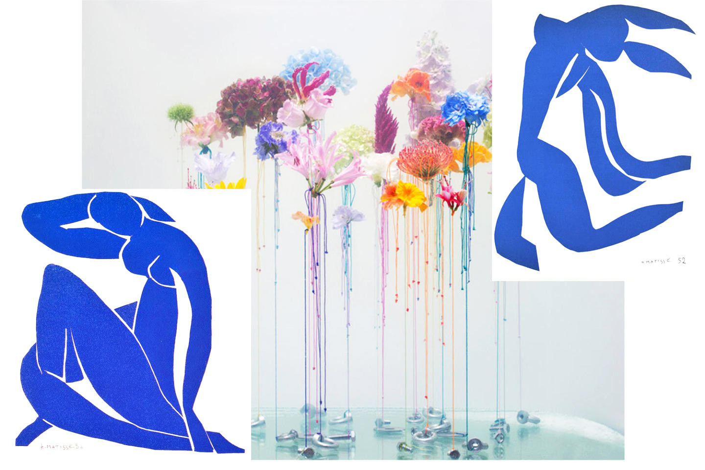 Flower - Matisse