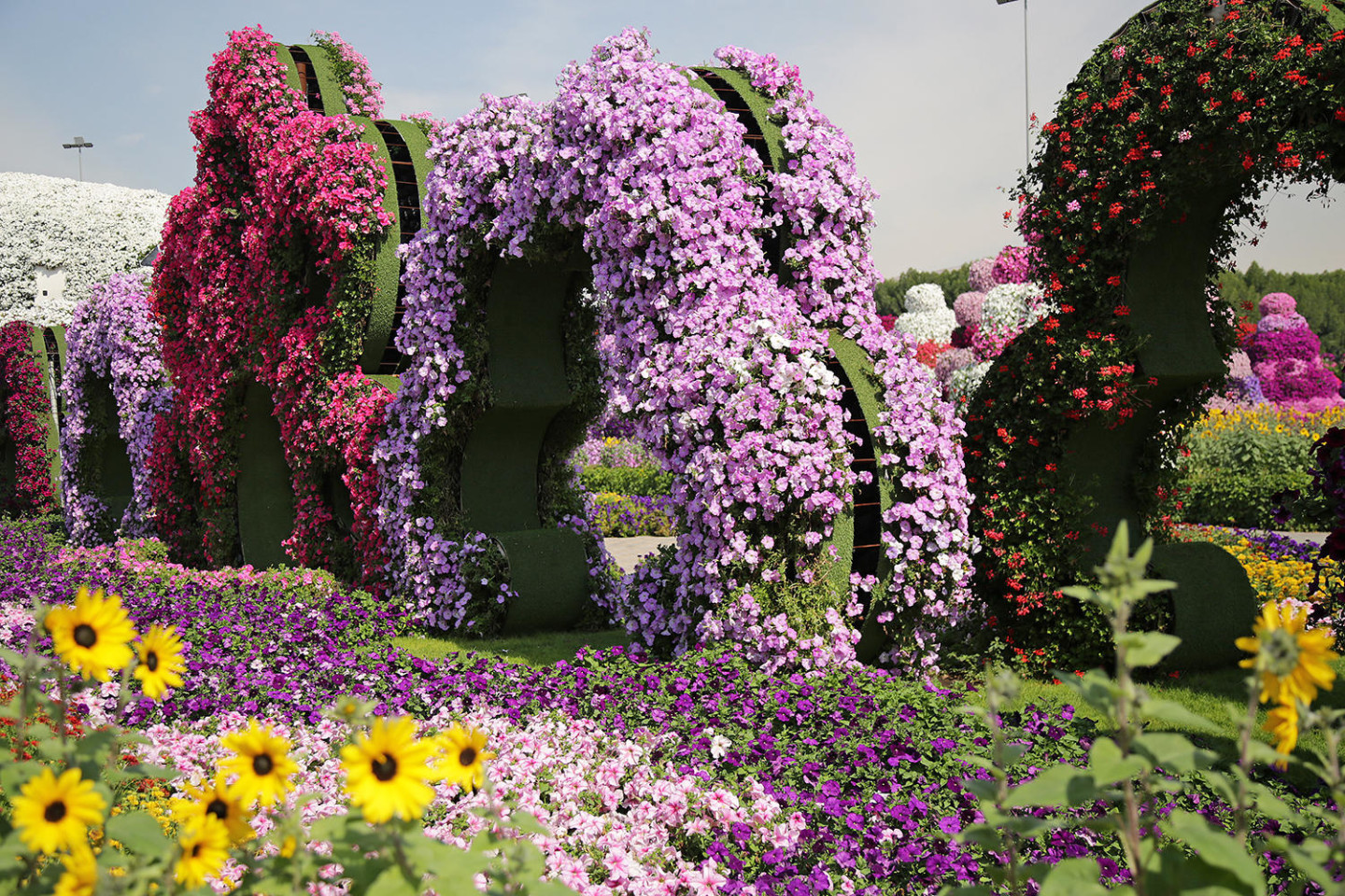 Dubai Miracle Garden