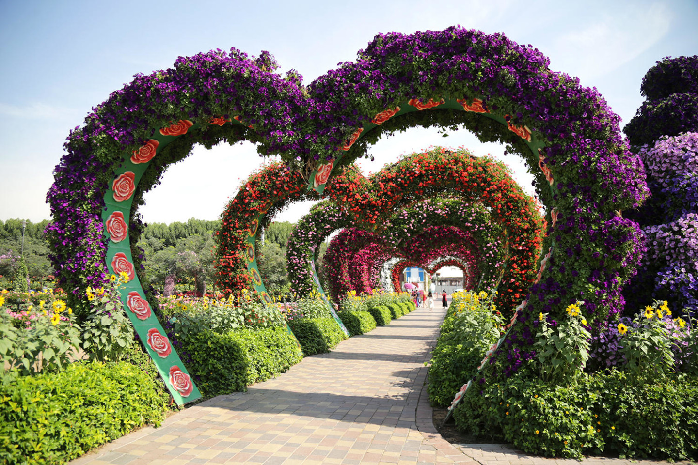 Dubai Miracle Garden 