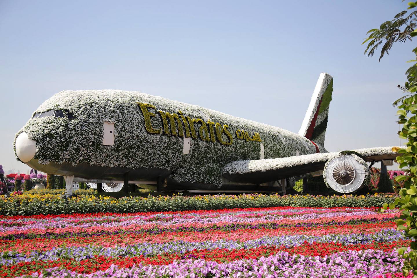 Dubai Miracle Garden plane Emirates