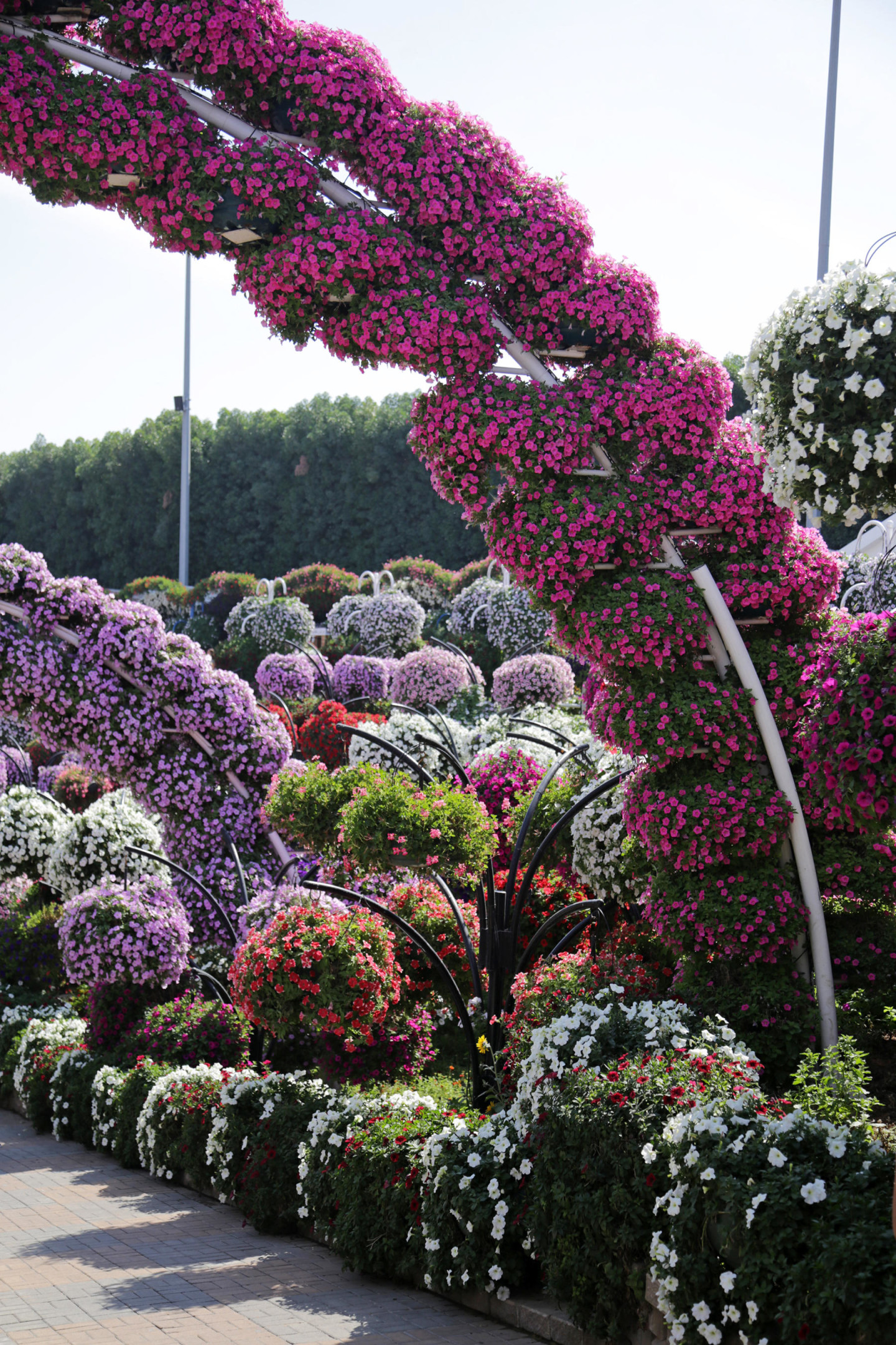 Dubai Miracle Garden