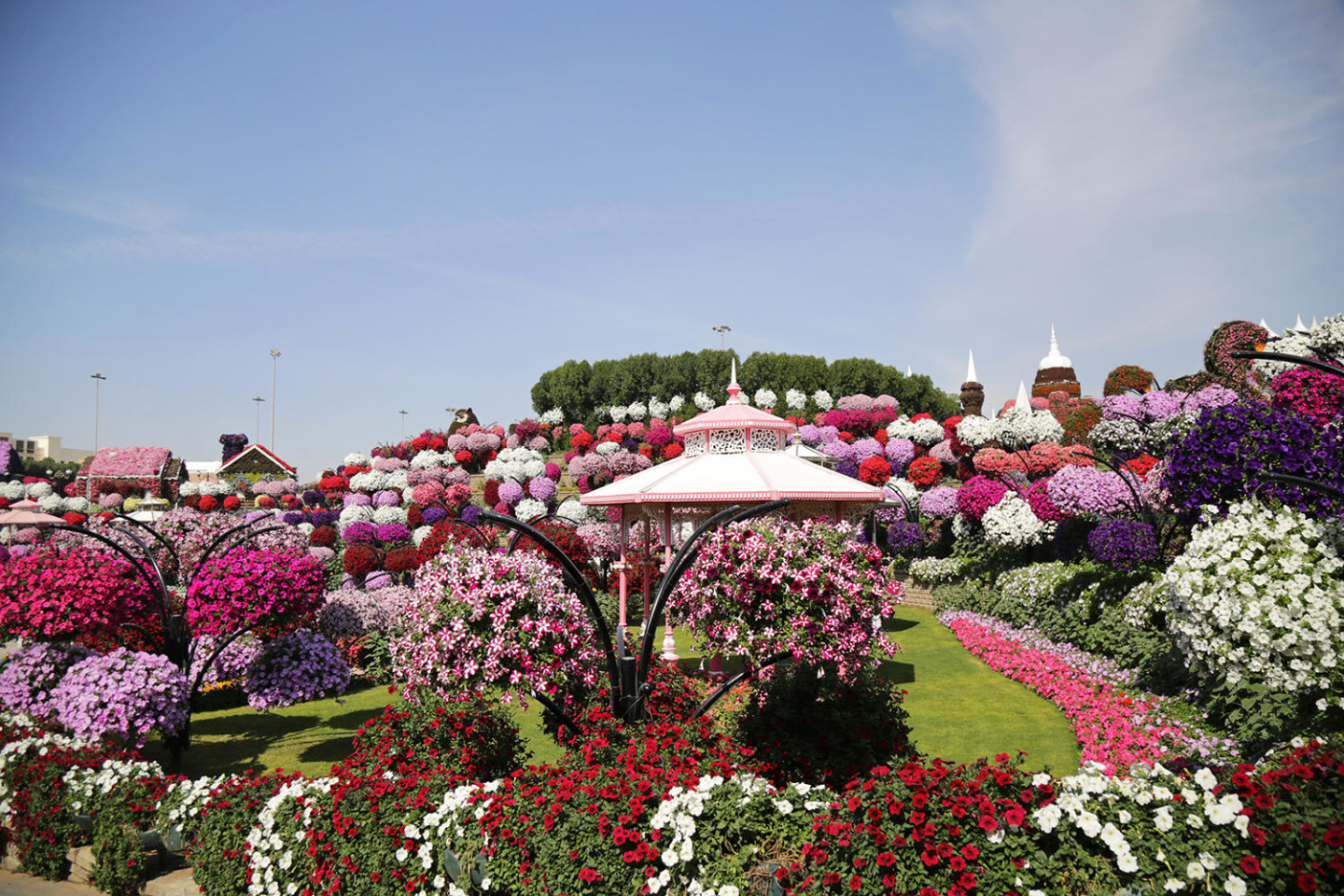 Dubai Miracle Garden