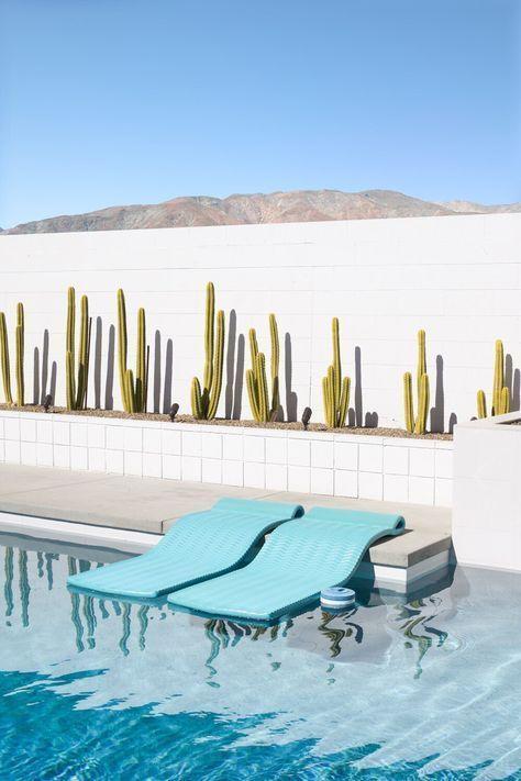 Palm Spring swimming pool with cactus