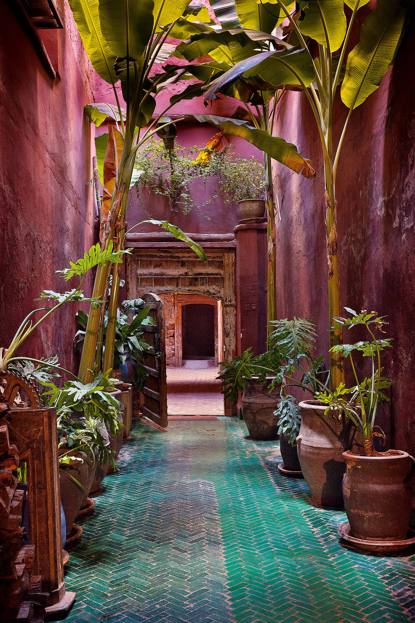 Potted bananas at Riad Madani